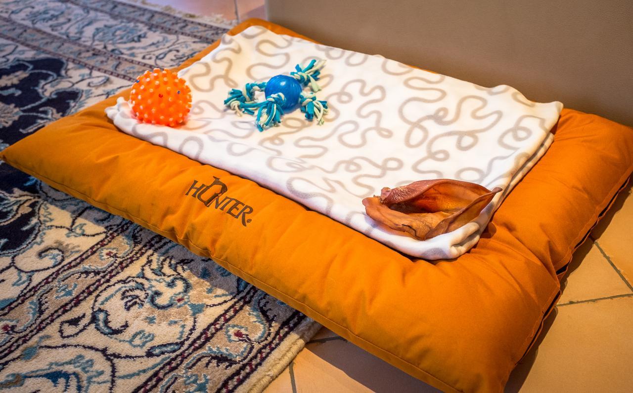 Chalet Verwall Luxury Apartments Lech 외부 사진